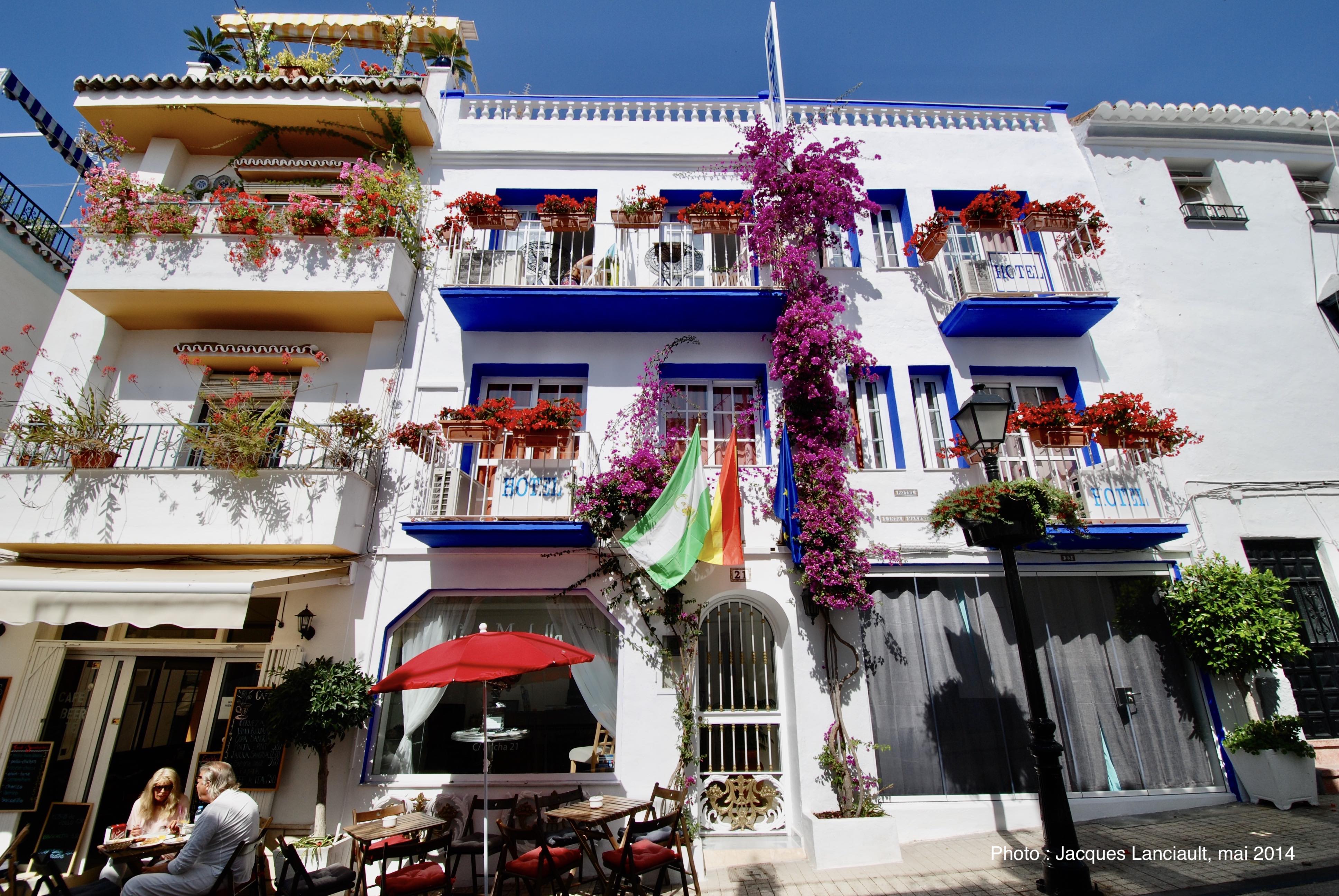 Marbella : le Musée du bonzaï… et les petites rues magnifiquement fleuries! (1re partie)