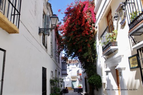 Marbella, Andalousie, Espagne