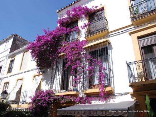 Marbella, Andalousie, Espagne