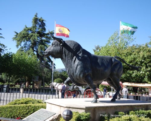 Plaza de Toros, Ronda, Andalousie, Espagne