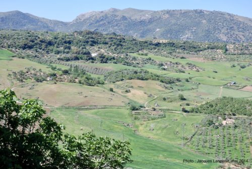 Mirador de Aldehuela, Ronda, Andalousie, Espagne