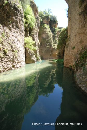 Mina de Agua, palacio Del Rey Moro, Ronda, Andalousie, Espagne