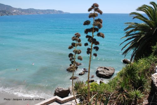 Balcón de Europa, Nerja, Andalousie, Espagne