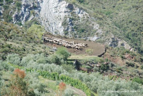 Las Alpujarras, Andalousie, Espagne