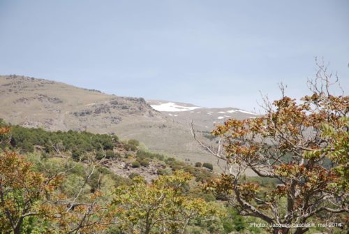 Las Alpujarras, Andalousie, Espagne