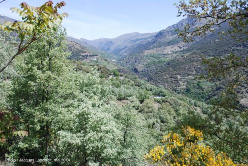 Las Alpujarras, Andalousie, Espagne
