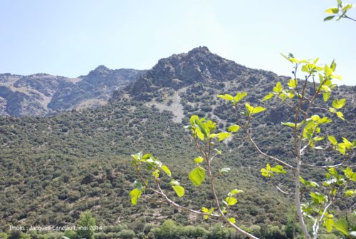 Trevélez, Las Alpujarras, Andalousie, Espagne