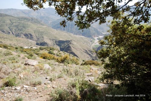 Las Alpujarras, Andalousie, Espagne