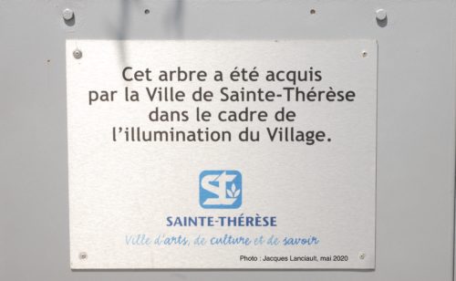 Arbre stylisé, Sainte-Thérèse, Québec
