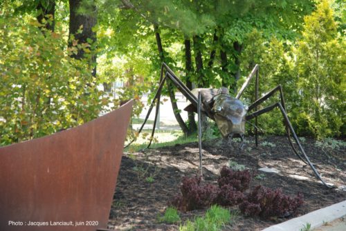 Fourni géante, Jeffrey McDonald, Blainville, Québec