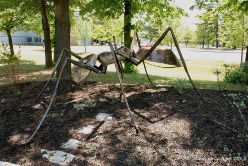 Fourni géante, Jeffrey McDonald, Blainville, Québec