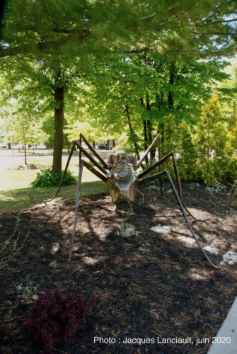 Fourni géante, Jeffrey McDonald, Blainville, Québec