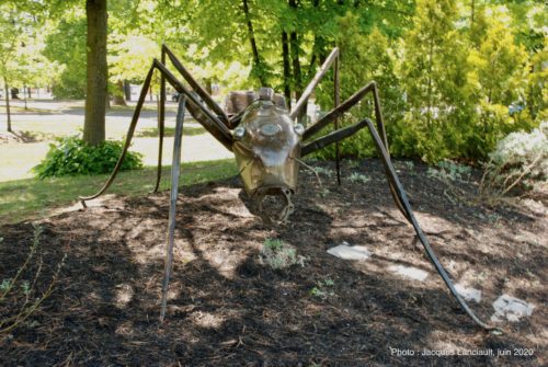 Fourni géante, Jeffrey McDonald, Blainville, Québec