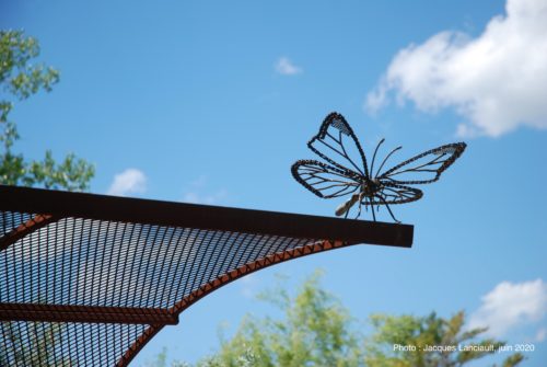 Papillon, Jeffrey McDonald, Blainville, Québec
