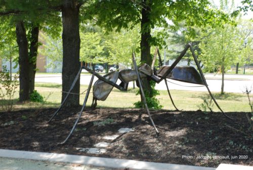 Fourni géante, Jeffrey McDonald, Blainville, Québec