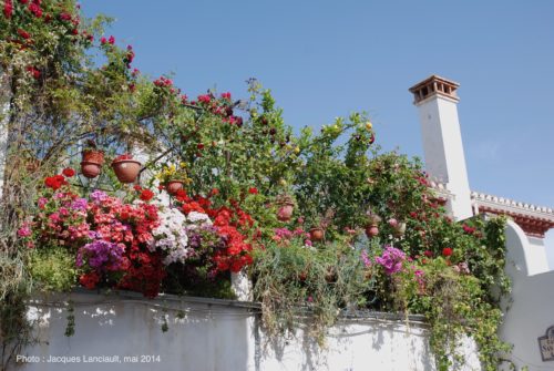 Barrio del Albaicín, Grenade, Andalousie, Espagne