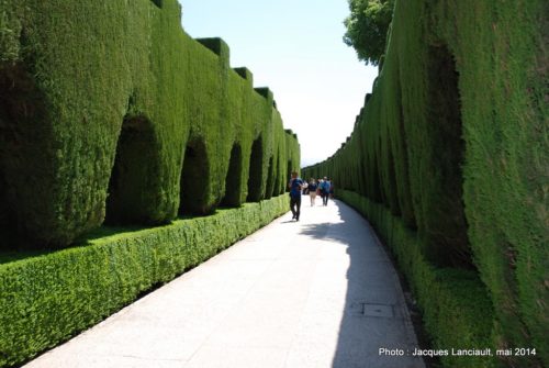 Alhambra, Grenade, Andalousie, Espagne