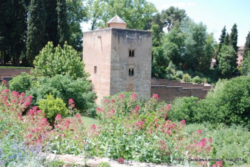 Palacio del Generalife, Alhambra, Grenade, Andalousie, Espagne