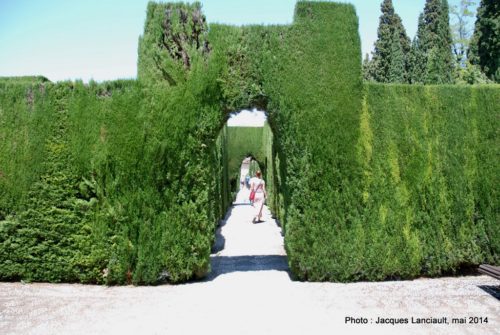Palacio del Generalife, Alhambra, Grenade, Andalousie, Espagne
