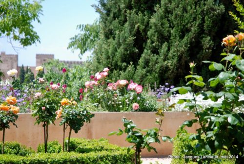 Palacio del Generalife, Alhambra, Grenade, Andalousie, Espagne