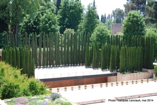 Palacio del Generalife, Alhambra, Grenade, Andalousie, Espagne