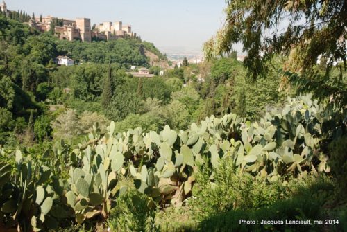 Sacromonte, Grenade, Andalousie, Espagne