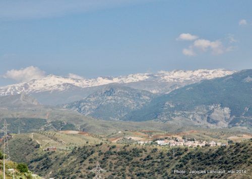 City Sightseing Tour, Grenade, Andalousie, Espagne