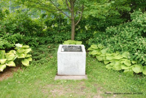 Écrasement du vol 831 à Sainte-Thérèse, Blainville, Québec