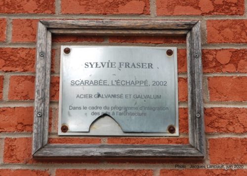 Scarabée, l’échappé, École de l’Envolée, Sylvie Fraser, Blainville, Québec
