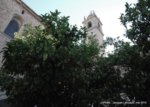 Monasterio de la Cartuja, Andalousie, Espagne