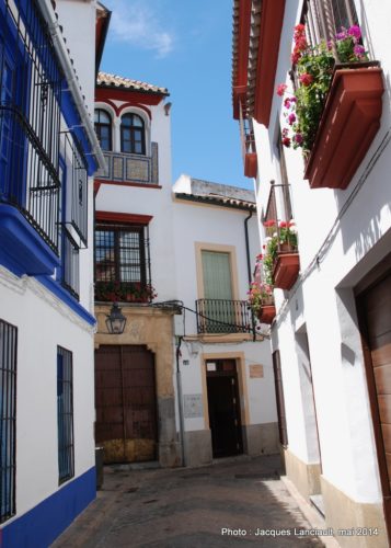 Calle, Cordoue, Andalousie, Espagne