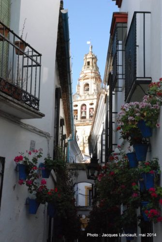 Mezquita-Catedral de Córdoba, Cordoue, Andalousie, Espagne