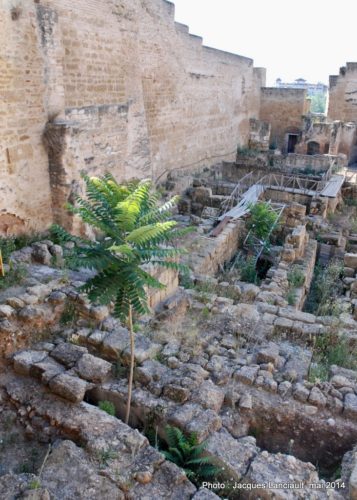 Alcázar de los Reyes Cristianos, Cordoue, Andalousie, Espagne