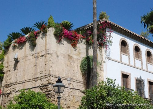 Cordoue, Andalousie, Espagne