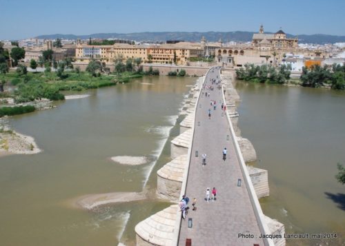 Torre de la Calahorra, Cordoue, Andalousie, Espagne