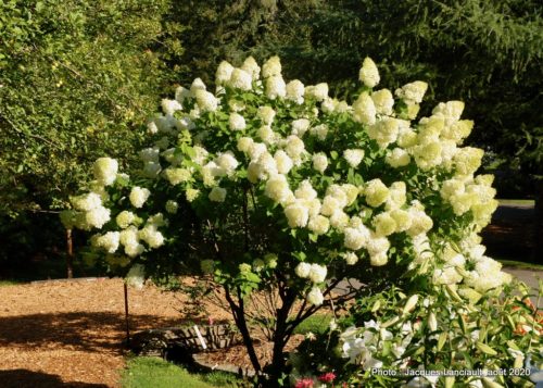 Jardin de François, Saint-Sauveur, Québec
