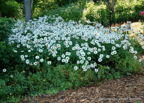 Jardin de François, Saint-Sauveur, Québec