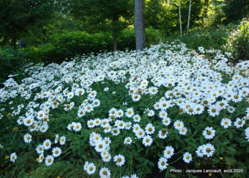 Jardin de François, Saint-Sauveur, Québec