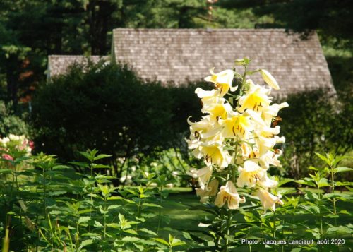 Jardin de François, Saint-Sauveur, Québec