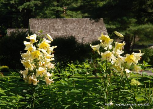 Jardin de François, Saint-Sauveur, Québec