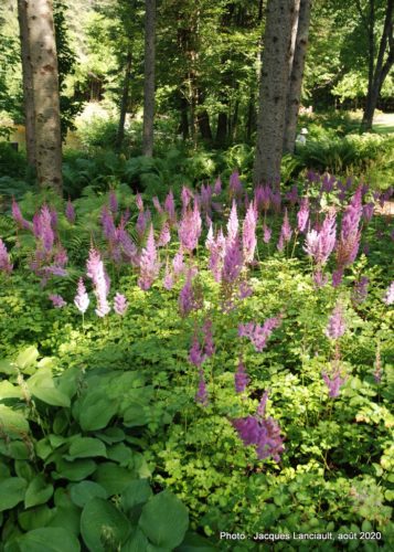 Jardin de François, Saint-Sauveur, Québec