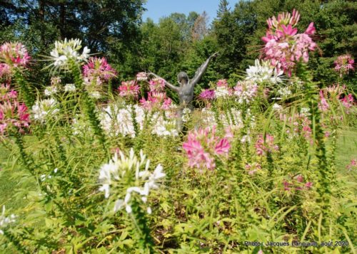 Jardin de François, Saint-Sauveur, Québec