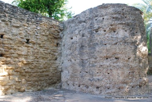 Cordoue, Andalousie, Espagne
