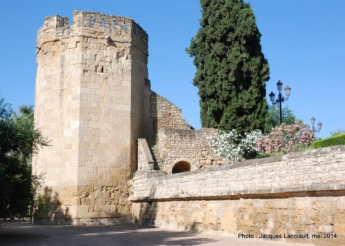 Cordoue, Andalousie, Espagne