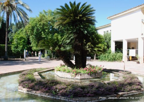 Real Jardín Botánico de Córdoba, Cordoue, Andalousie, Espagne