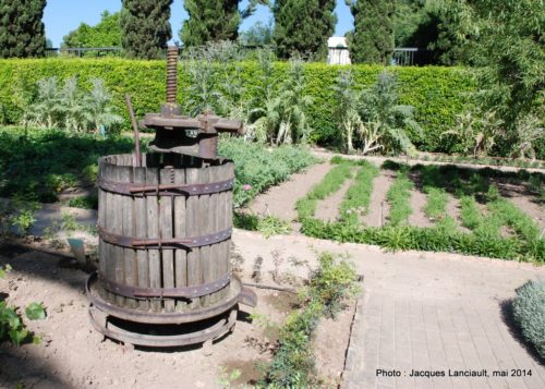 Real Jardín Botánico de Córdoba, Cordoue, Andalousie, Espagne