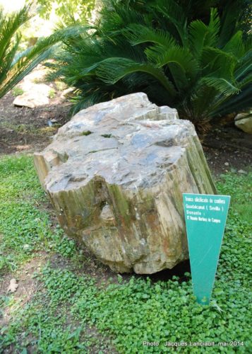 Real Jardín Botánico de Córdoba, Cordoue, Andalousie, Espagne