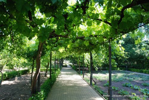 Real Jardín Botánico de Córdoba, Cordoue, Andalousie, Espagne