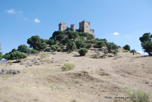 Castillo de Almodóvar, Almodóvar del Río, Andalousie, Espagne