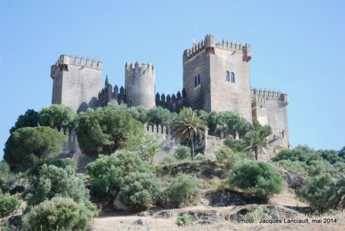 Castillo de Almodóvar, Almodóvar del Río, Andalousie, Espagne